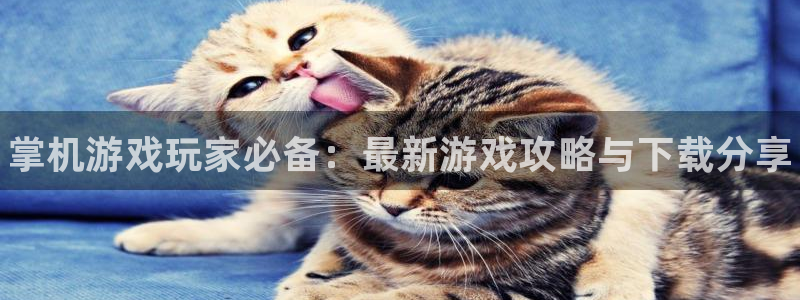 优贝娱乐官方注册登录：掌机游戏玩家必备：最新游戏攻略与下载分