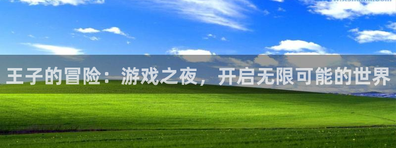 优贝娱乐平台注册资金多少：王子的冒险：游戏之夜，开启无限可能