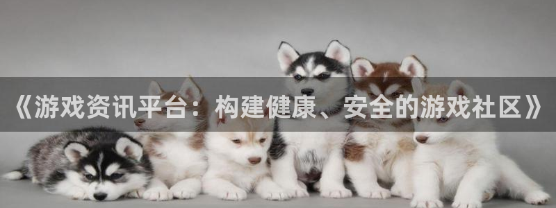 优贝娱乐登录：《游戏资讯平台：构建健康、安全的游戏社区》