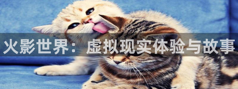 优贝娱乐平台注册资金多少：火影世界：虚拟现实体验与故事