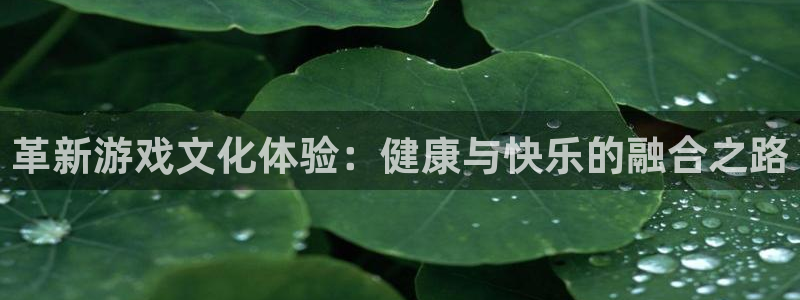 优贝娱乐平台注册开户：革新游戏文化体验：健康与快乐的融合之路